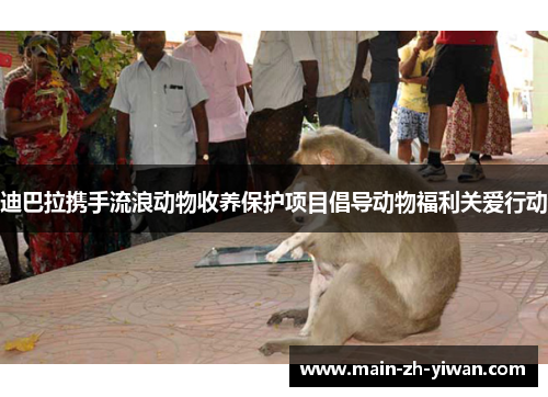 迪巴拉携手流浪动物收养保护项目倡导动物福利关爱行动