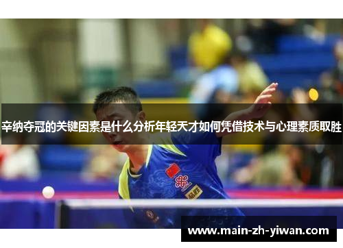 辛纳夺冠的关键因素是什么分析年轻天才如何凭借技术与心理素质取胜